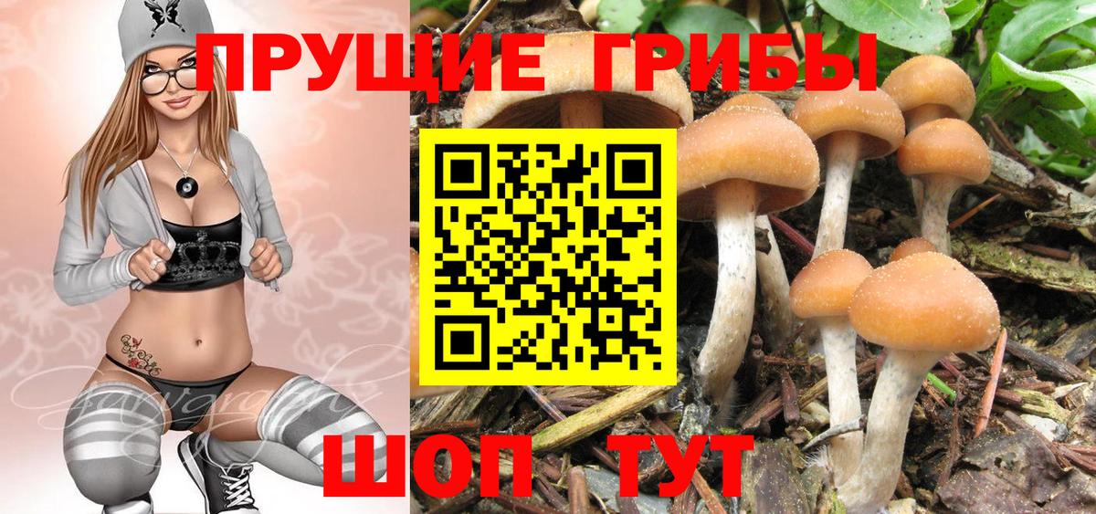 Псилоцибиновые грибы прущие грибы Иваново