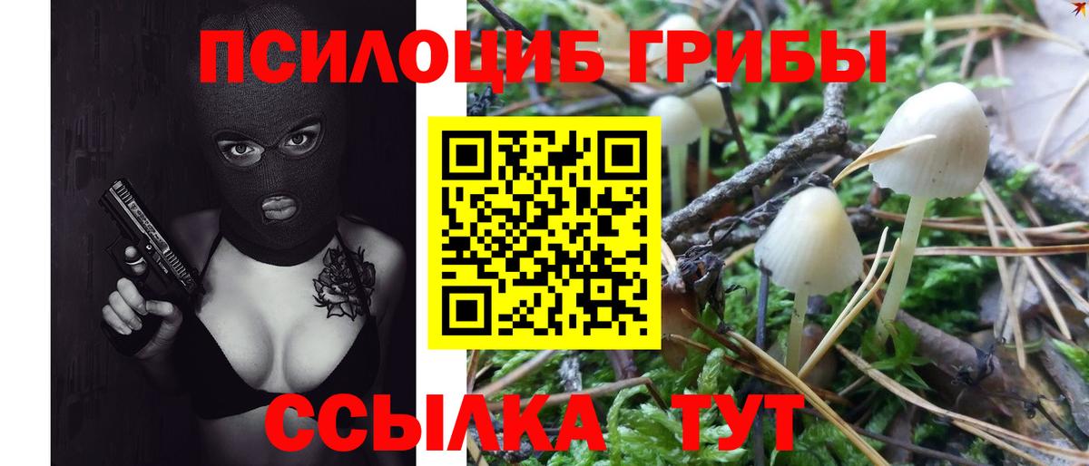 Иваново  Псилоцибиновые грибы мухоморы  Галлюциногенные грибы Psilocybe  Вход с VPN 